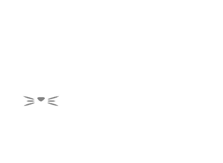 Cabàs de Gats